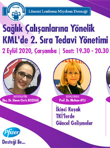 Sağlık Çalışanlarına Yönelik KML'de 2. Sıra Tedavi Yönetimi